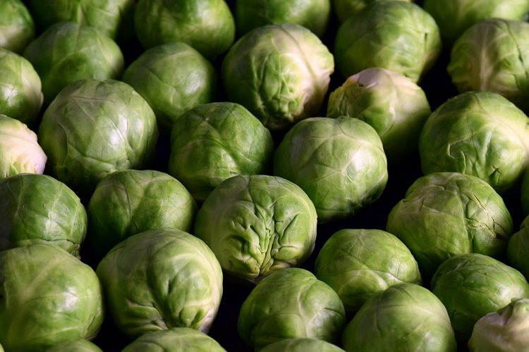 brussels-sprouts